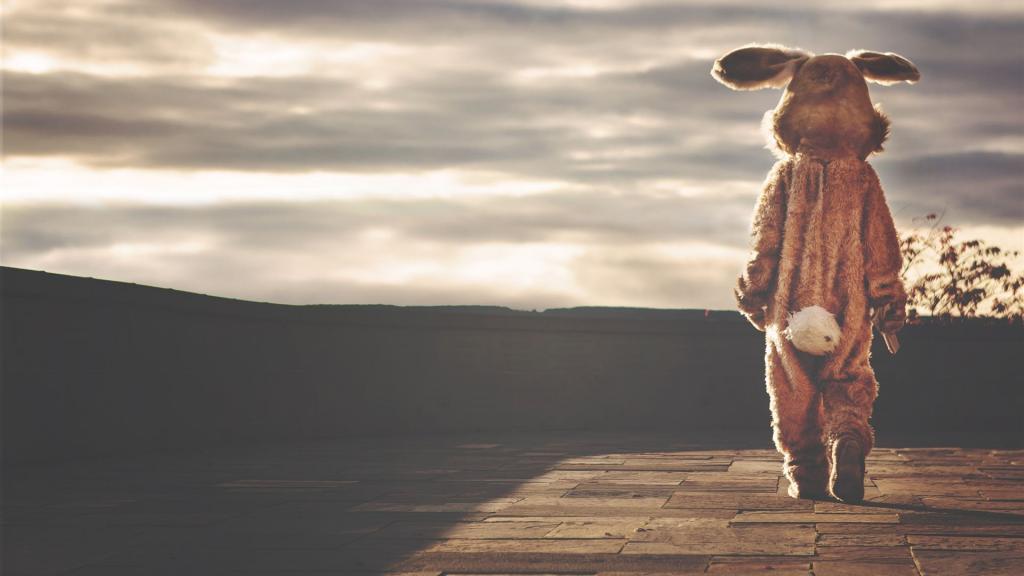 hase, kostüm, tier, ostern, wunderlich, lustig, pelz, individuell, individualität, schwanz, braune tiere, braun lustig, brown rabbit, natur, brown bunny, ostern, ostern, ostern, ostern, ostern